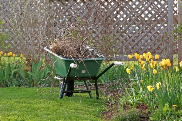 Flower Bed Cleanup Service in Winter Haven
