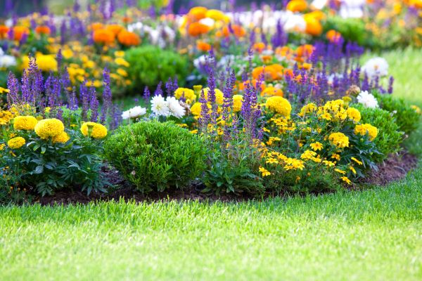 Flower Bed Maintenance in Winter Haven