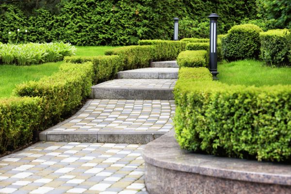 Backyard Remodeling in Winter Haven