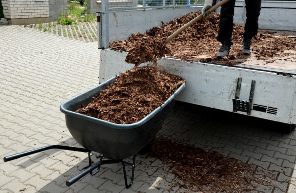 Bulk Mulch Delivery in Winter Haven