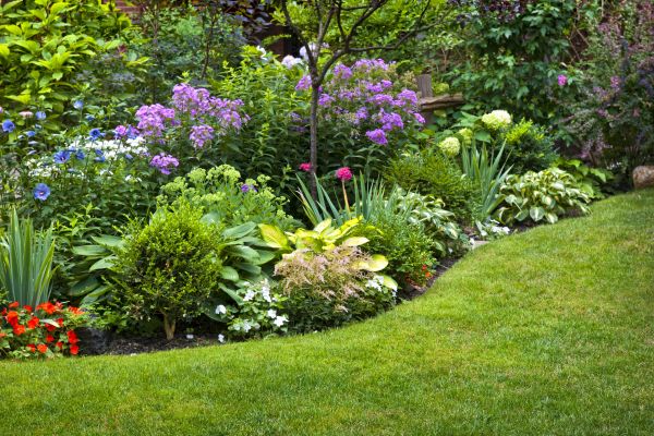 Flower Bed Service in Winter Haven