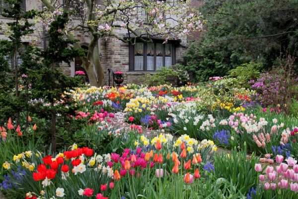 Garden Maintenance Service in Winter Haven