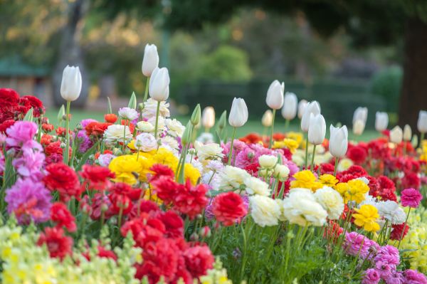 Gardening Service in Winter Haven