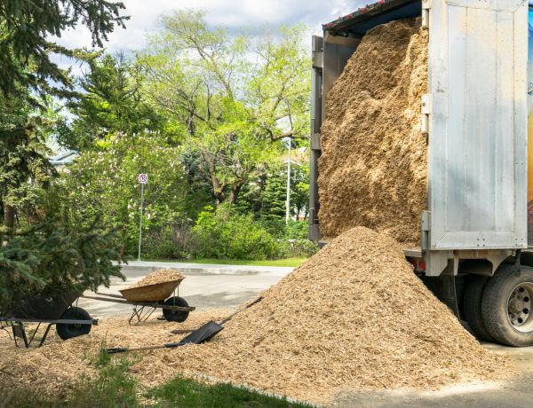 Wood Chips Delivery in Winter Haven