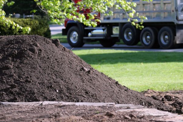 Yard Dirt Delivery in Winter Haven