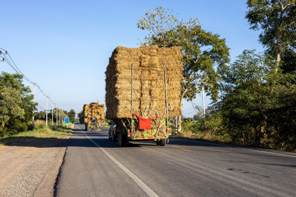 Pine Straw Delivery in Winter Haven