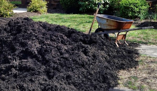 Black Mulch Delivery in Winter Haven