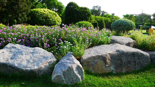 Boulder Landscaping in Winter Haven