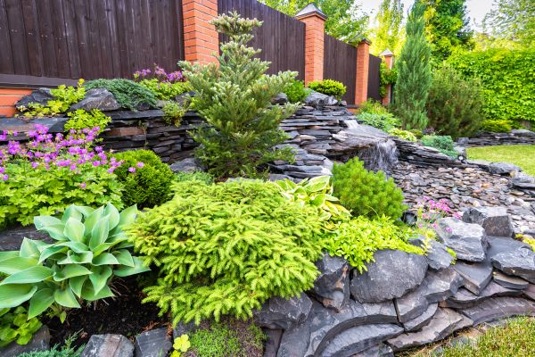 Landscape Remodeling in Winter Haven