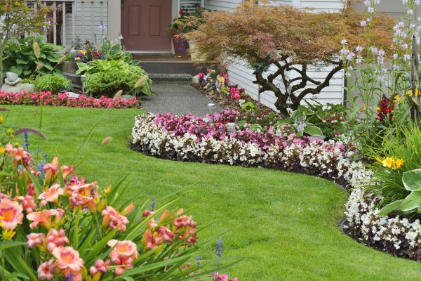 Perennial Landscaping in Winter Haven