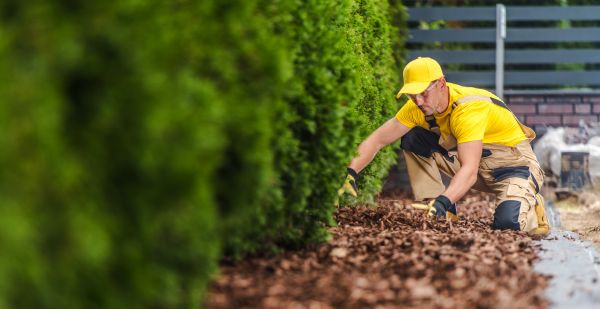 Cypress Mulch Installation in Winter Haven