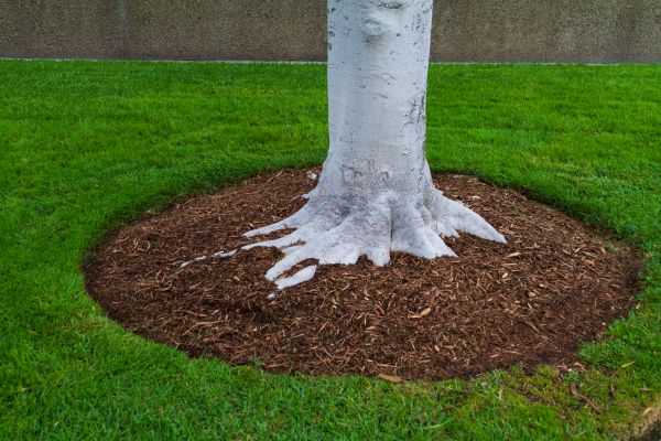 Brown Mulch Installation in Winter Haven