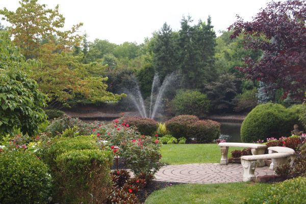 Courtyard Design Service in Winter Haven