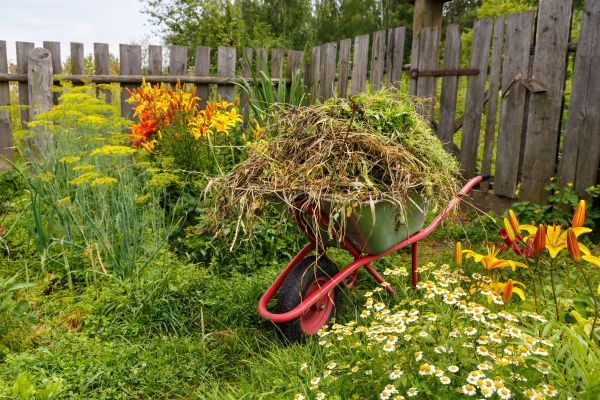 Garden Cleanup Service in Winter Haven