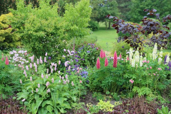 Flower Bed Planting in Winter Haven