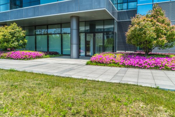 Commercial Gardening in Winter Haven