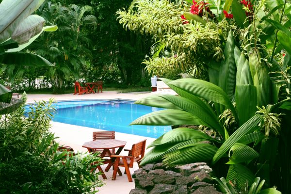 Tropical Garden Landscaping in Winter Haven