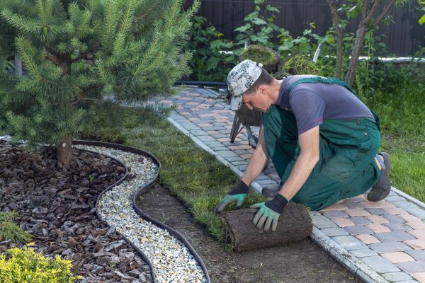 Landscaping Modification in Winter Haven