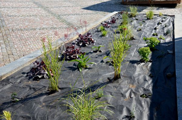 Landscape Fabric Installation in Winter Haven