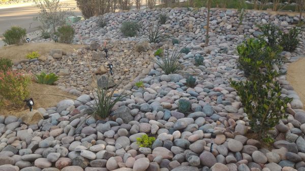 Yard Xeriscaping in Winter Haven