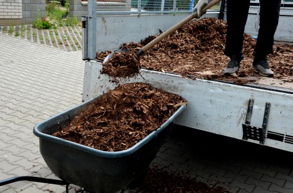 Cedar Mulch Delivery in Winter Haven