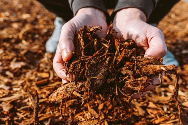 Bark Chips Delivery in Winter Haven