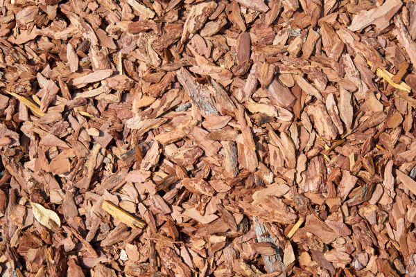 Pine Mulch Delivery in Winter Haven