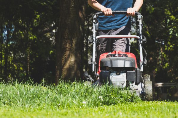 Garden Trimming Service in Winter Haven
