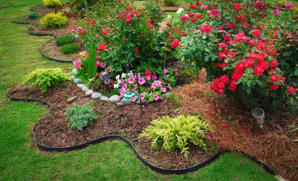 Floral Landscaping in Winter Haven