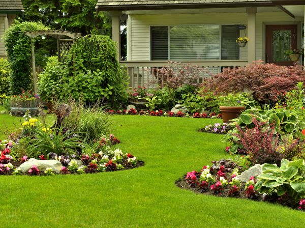 Flower Garden Planting in Winter Haven