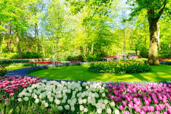 Flower Landscaping in Winter Haven