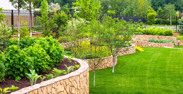 Yard Makeover Service in Winter Haven