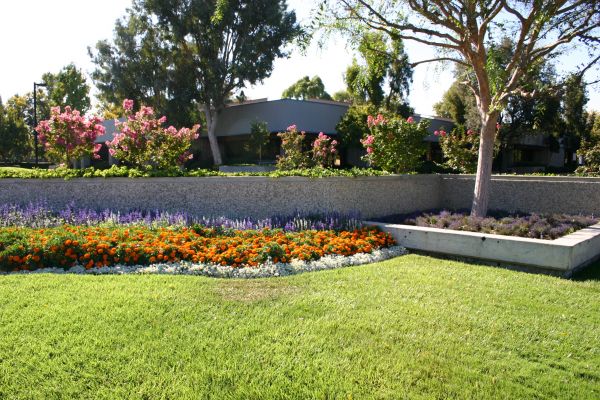 Commercial Landscape Service in Winter Haven