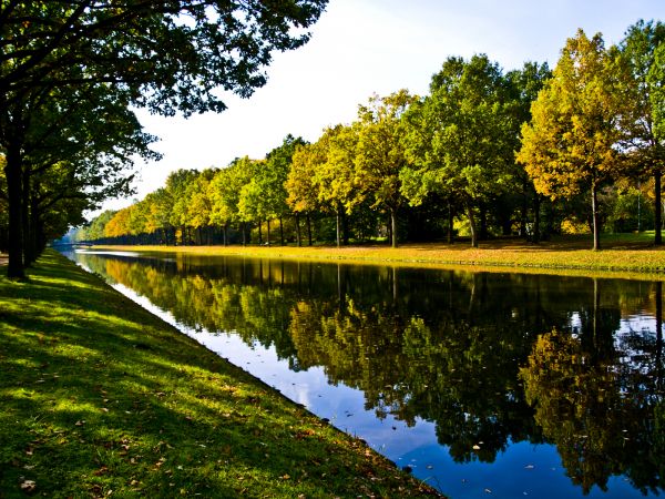 Bank Landscaping in Winter Haven
