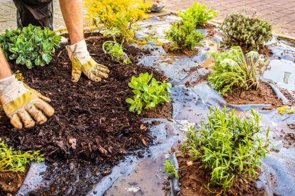 Mulch Fabric Installation in Winter Haven