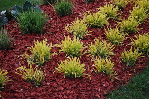 Red Mulch Installation in Winter Haven