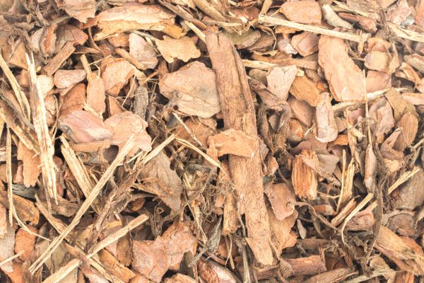 Bark Mulch Installation in Winter Haven