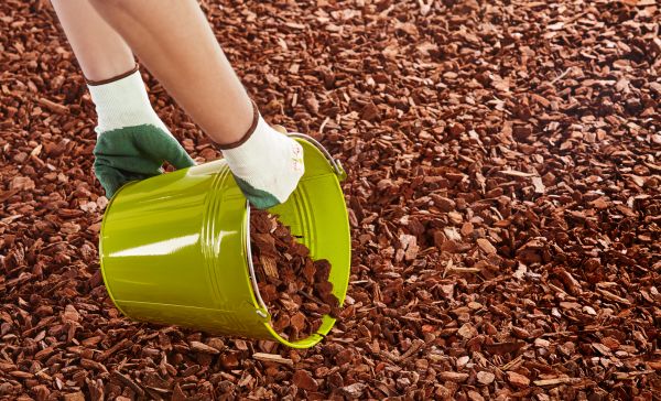 Wood Chip Landscaping in Winter Haven