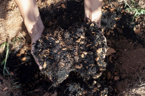 Organic Mulch Installation in Winter Haven