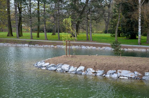 Pond Landscaping Service in Winter Haven