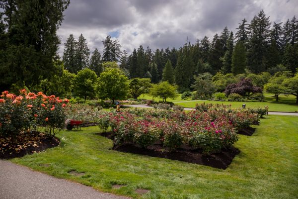 Flower Garden Landscaping in Winter Haven