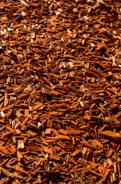 Cedar Mulch Spreading in Winter Haven