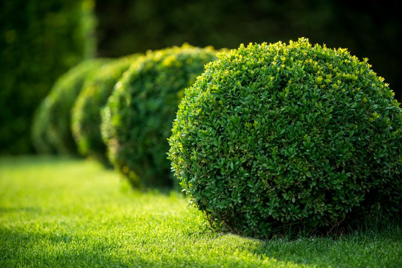 Bush Landscaping